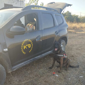 Εντοπισμός δηλητηριασμένων δολωμάτων στο Δήμο Μιδέας