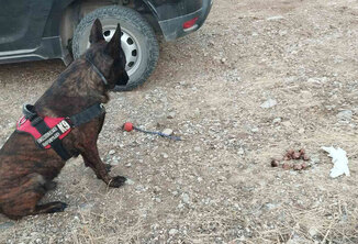 Εύρεση δηλητηριασμένων δολωμάτων στην περιοχή Αμαριανού στο Ναύπλιο