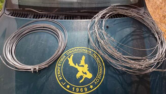 Παράνομη θήρα αγριόχοιρου με θηλιές στη Μεσσηνία – Σύλληψη από τον Ομοσπονδιακό Θηροφύλακα