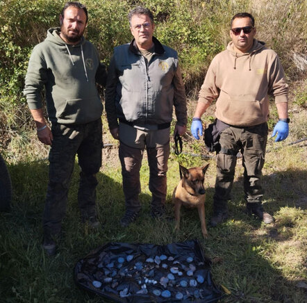 Μια σακούλα φόλες εντόπισαν οι σκύλοι της Γ’ Κ.Ο.Π.