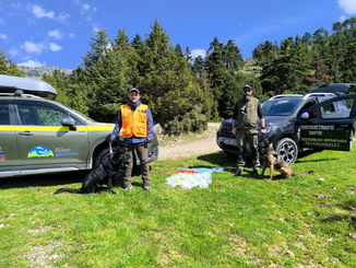 Δηλητηριασμένα δολώματα στον Πάρνωνα: άμεση επέμβαση ΟΦΥΠΕΚΑ και Κ.Σ. Σπάρτης προστάτεψε την άγρια πανίδα